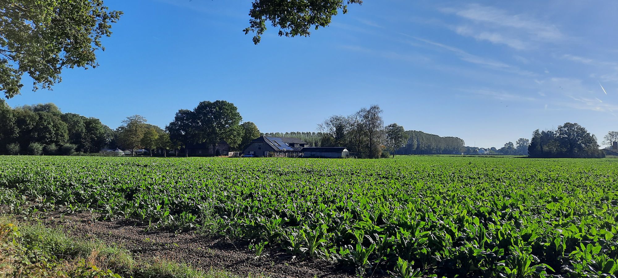 Strijpse Hoeve tussen de open velden van Hoog Strijp